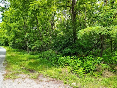 0 Elkton Farm Rd, Forest, VA 24551 - photo 5