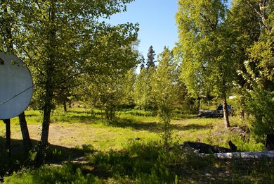 DSC09912