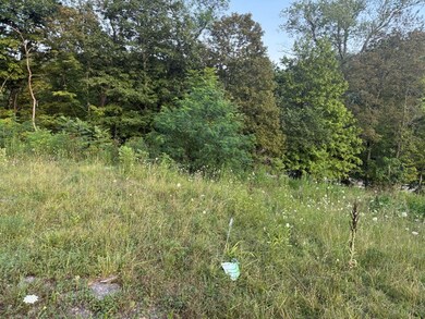 490 Freedom Crider Rd, Freedom, PA 15042 - photo 5