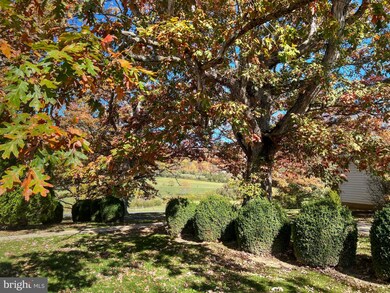 618 Miller Rd, Edinburg, VA 22824 - photo 3