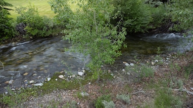 Brown Eastfork Lot 061125 07