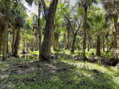 18451 Cypress Creek Ln, Alva, FL 33920 - photo 6