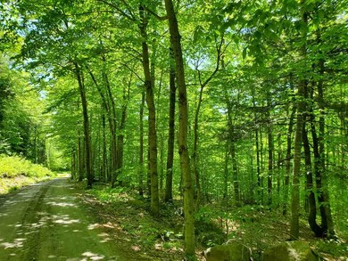 7 Pike Hill Rd, Hebron, NH 03241 - photo 2