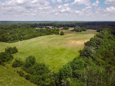 0 Sims Rd N of unit RTC2473286, Shelbyville, TN 37160 - photo 3