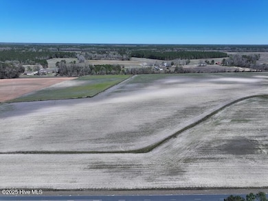 0 N Carolina 53, Kelly, NC 28448 - photo 4