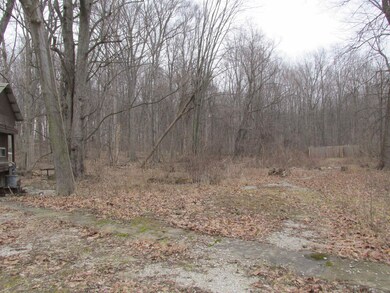 4709 W Olive Branch Rd, Three Oaks Township, MI 49128 - photo 5