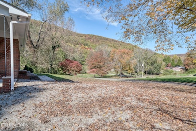 287 Watson Ave, Spring City, TN 37381 - photo 4