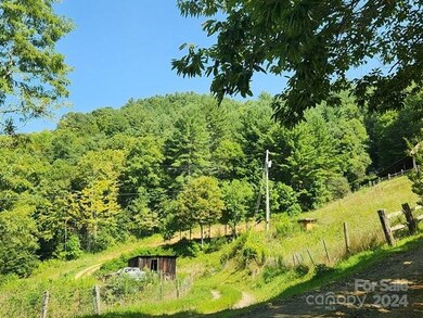 TBD Evergreen Rd, Burnsville, NC 28714 - photo 5