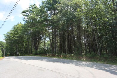 Road View
