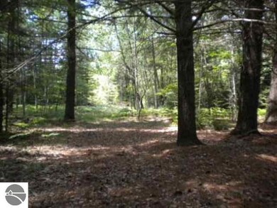 0 Morrison Rd unit 1763546, Alger, MI 48610 - photo 3