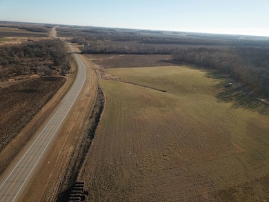 Tbd County Highway 1, Fertile, MN 56540 - photo 4