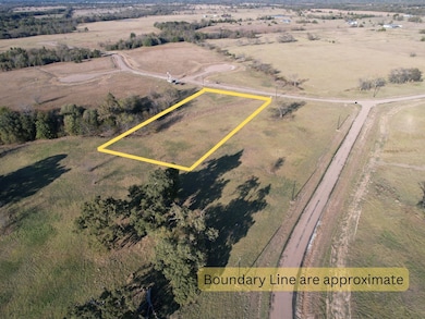 Lot 34 County Road 3512, Sulphur Springs, TX 75482 - photo 3