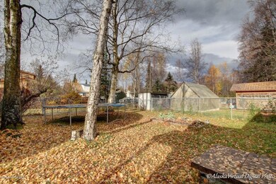 Sunny Fenced Yard