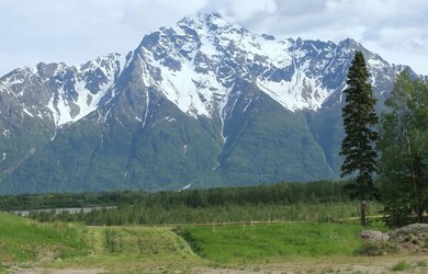 View Looking South