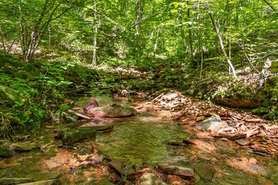 Roaring Creek Farms-155