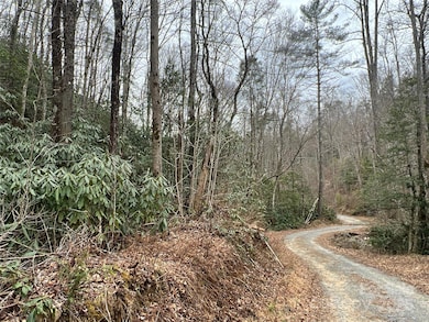 00 Collettsville Rd unit 13, Collettsville, NC 28611 - photo 4