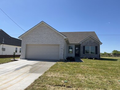 207 Meadowbrook Dr, Shelbyville, TN 37160 - photo 6