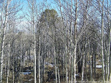 203 Falcon Rd, Como, CO 80432 - photo 4