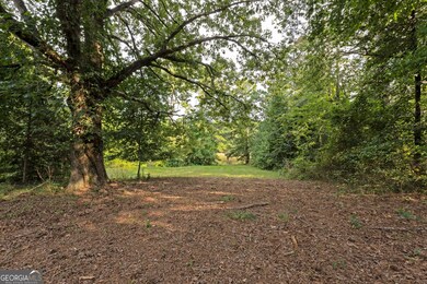 0 Mask and Lynch Rd unit 10611467, Brooks, GA 30205 - photo 5