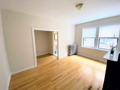 839 W Sheridan Rd unit 223, Chicago, IL 60613 - photo 4