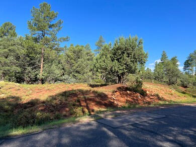 389 E Apache St, Pine, AZ 85544 - photo 4