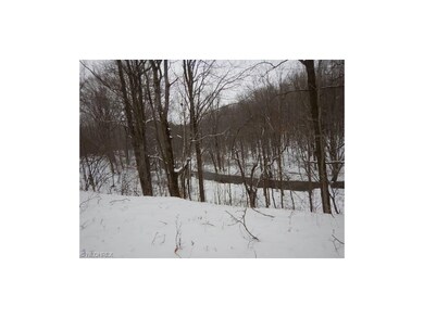 4620 State Route 167 W, Pierpont, OH 44082 - photo 4