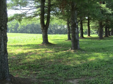 1095 Hwy 33 S unit B, Harrodsburg, KY 40330 - photo 6