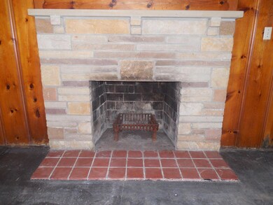 290 - Fireplace # 2