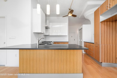 Bay Street Landing unit 5A, Staten Island, NY 10301 - photo 6