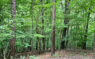 Additional View