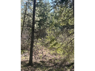 0 Pothole Rd unit 781986575, Goldendale, WA 98620 - photo 3