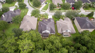 Aerial View 5