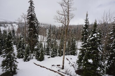 223 W Hunter Ridge Dr unit E306, Brian Head, UT 84719 - photo 6