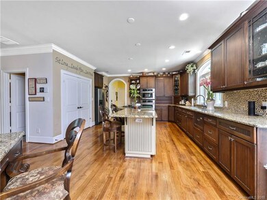 Gourmet and open Kitchen with ample cabinet storag