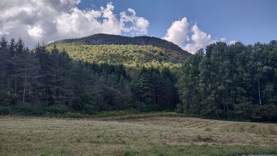 5 Ira Birdseye Rd, Clarendn Springs, VT 05777 - photo 7