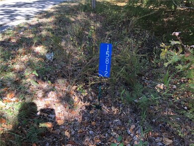 15812 Union Star Rd, Winslow, AR 72959 - photo 4