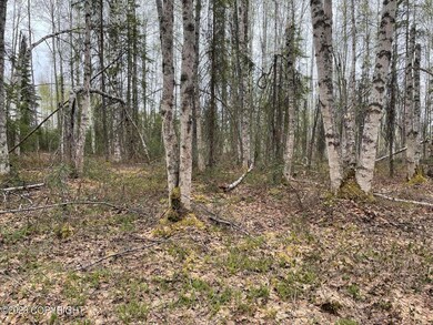Eagle's Nest Land - Flat