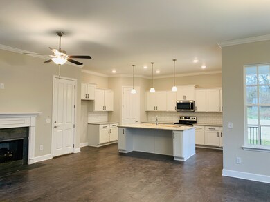  10Ft Ceilings  throughout main level, hardwood throughout main living area, master bedroom, closets, guest bedrooms, upstairs hall and bonus is carpet. These pictures are of another Madison Plan. Buyer can make All interior selections at this time.