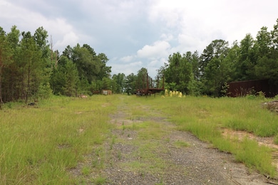 AB985 TR85 County Road 1028, Newton, TX 75966 - photo 3