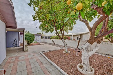 Fruit Trees In the Back!
