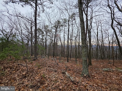 Lot 38 SEC V Breakeven Ln, Berkeley Springs, WV 25411 - photo 2