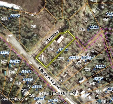 48609 S Tussle Cir, Willow, AK 99688 - photo 2
