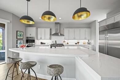 10814 Bluffside Dr, Lone Tree, CO 80124 - photo 6