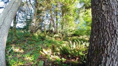 Lot 8900 SE Oar Dr, Lincoln City, OR 97367 - photo 2