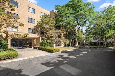 41 Centre St unit 102, Brookline, MA 02446 - photo 2