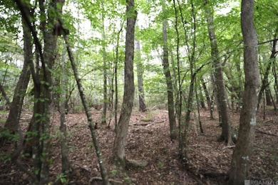 211 Fred Rogers Rd, Montgomery, LA 71454 - photo 2