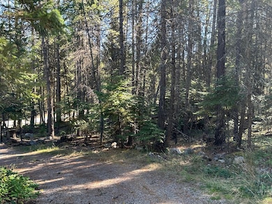 26 Tamarack Dr, Thompson Falls, MT 59873 - photo 3