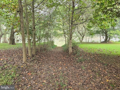 3165 Springfield Pike, Springfield, WV 26763 - photo 5