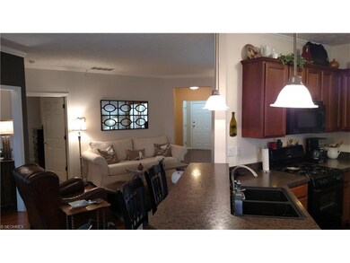 1013 Aqua Marine Blvd unit 51, Avon Lake, OH 44012 - photo 6