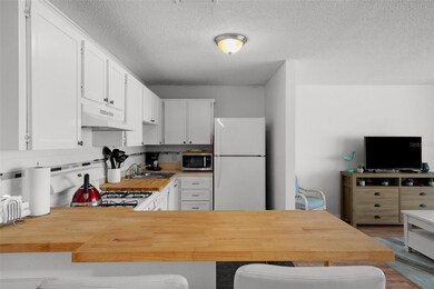 5623 80th St N unit 506, Saint Petersburg, FL 33709 - photo 5